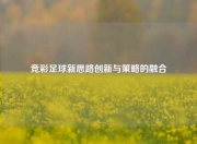 竞彩足球新思路创新与策略的融合