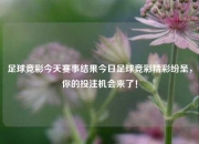 足球竞彩今天赛事结果今日足球竞彩精彩纷呈，你的投注机会来了！