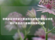 世界杯足球竞彩计算器如何使用世界杯足球竞彩计算器进行准确的预测和决策