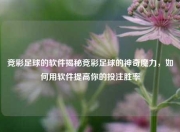 竞彩足球的软件揭秘竞彩足球的神奇魔力，如何用软件提高你的投注胜率