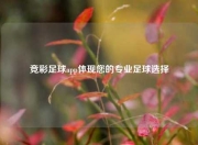 竞彩足球app体现您的专业足球选择