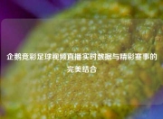 企鹅竞彩足球视频直播实时数据与精彩赛事的完美结合