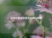 足球比赛竞彩胜负分析与策略
