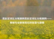 竞彩足球比分预测网竞彩足球比分预测网——揭秘专业数据背后的智慧与激情