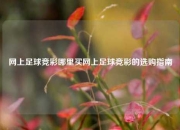 网上足球竞彩哪里买网上足球竞彩的选购指南