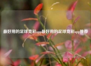 最好用的足球竞彩app最好用的足球竞彩app推荐