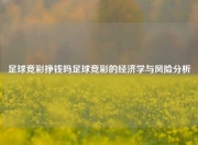 足球竞彩挣钱吗足球竞彩的经济学与风险分析