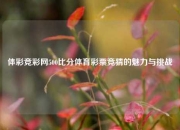 体彩竞彩网500比分体育彩票竞猜的魅力与挑战