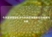 今天足球竞彩比分今天的足球竞彩比分预测与分析