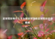 足球竞彩有什么平台啊全球顶级足球竞彩平台解析