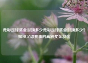 竞彩足球奖金封顶多少竞彩足球奖金封顶多少？揭秘足球赛事的高额奖金制度