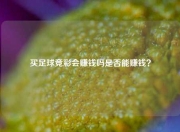 买足球竞彩会赚钱吗是否能赚钱？