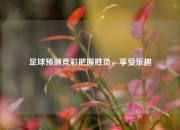 足球预测竞彩把握胜负，享受乐趣