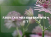 竞彩足球实时比分捷报把握捷报时刻的策略与技巧