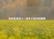 竞彩足球坑人一场关于信任的赌博