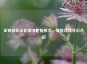 足球竞彩杀招精准把握机会，掌握足球竞彩杀招