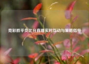 竞彩胜平负比分直播实时互动与策略指导