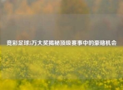 竞彩足球5万大奖揭秘顶级赛事中的豪赌机会