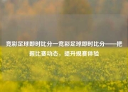 竞彩足球即时比分一竞彩足球即时比分——把握比赛动态，提升观赛体验