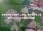 竞彩足球比分是哪个app揭秘，如何在手机上查看竞彩足球比分并获取实时更新