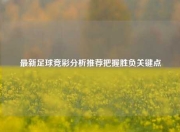 最新足球竞彩分析推荐把握胜负关键点