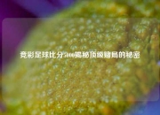竞彩足球比分5000揭秘顶级赌局的秘密