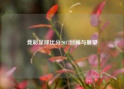 竞彩足球比分2017回顾与展望