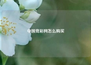 中国竞彩网怎么购买
