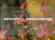 澳客竞彩篮球比分一场精彩纷呈的竞技盛宴