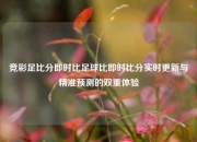 竞彩足比分即时比足球比即时比分实时更新与精准预测的双重体验