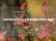 体彩竞彩足球比分中奖揭秘投注技巧与策略