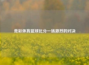 竞彩体育篮球比分一场激烈的对决