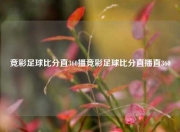 竞彩足球比分直360播竞彩足球比分直播直360