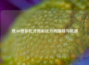 竞500竞彩比分竞彩比分的挑战与机遇
