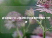 竞彩足球比分4x1揭秘足球比赛中的特殊投注方式