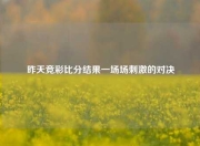 昨天竞彩比分结果一场场刺激的对决