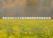 竞彩足球比分天天赢球揭秘高胜率的秘密武器