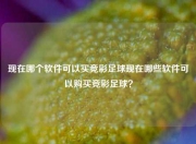 现在哪个软件可以买竞彩足球现在哪些软件可以购买竞彩足球？