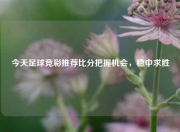 今天足球竞彩推荐比分把握机会，稳中求胜