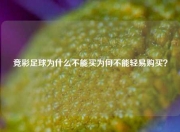 竞彩足球为什么不能买为何不能轻易购买？