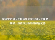 足球竞彩邹玉龙足球竞彩中的邹玉龙现象——揭秘一位资深分析师的秘密武器