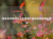 竞彩足球即时比分彩客网打造专业在线博彩平台