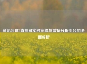 竞彩足球5直播网实时竞猜与数据分析平台的全面解析