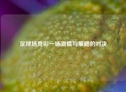足球场竞彩一场激情与策略的对决