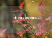 23日足球竞彩强胆推荐---