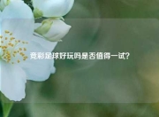 竞彩足球好玩吗是否值得一试？
