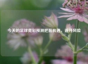 今天的足球竞彩预测把握机遇，避开风险