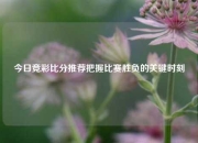 今日竞彩比分推荐把握比赛胜负的关键时刻