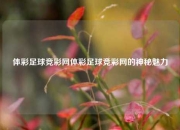 体彩足球竞彩网体彩足球竞彩网的神秘魅力