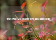 竞彩足球玩法揭秘胜负宝典与策略指南